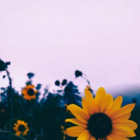 Meet your Posher, Kate - Picture 2 of 2